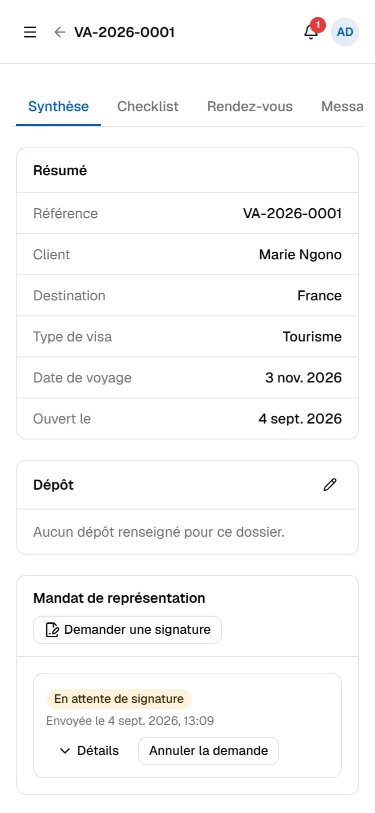 Consula on a phone — summary of a visa file